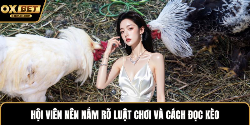 Hội viên nên nắm rõ luật chơi và cách đọc kèo