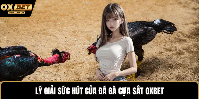 Lý giải sức hút của đá gà cựa sắt OXBET