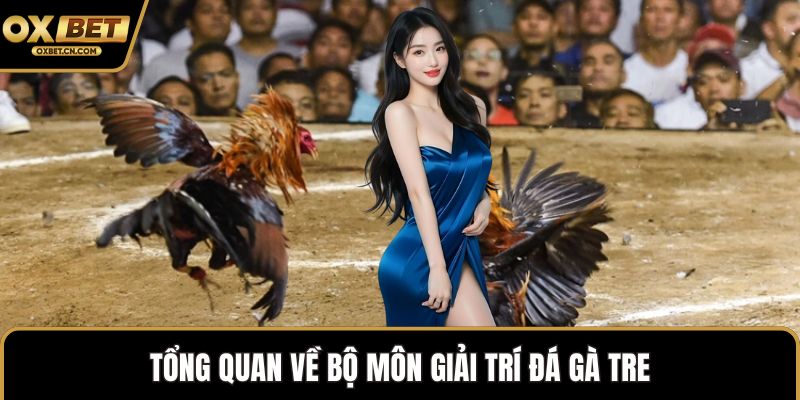 Tổng quan về bộ môn giải trí đá gà tre